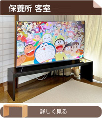 保養所客室